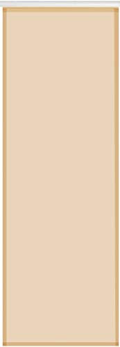 Bestlivings Panneau japonais transparent en voile 60 x 245 cm Technique Décoration de fenêtre simple et élégante disponible dans de nombreux (beige/sans technique)
