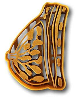 Cookie Cutz Brust Anatomie Keksausstecher 1 Stück