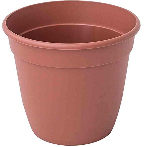 Siena Garden Pflanztopf terra 24cm