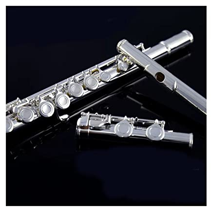 flöte Instrument Querflöte Einsteiger Einsteiger Musikinstrument 16 Offene Und Geschlossene Löcher Versilberte Primärpfeife (Color : 16 Close)