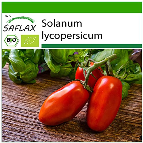 SAFLAX - BIO - Tomate - San Marzano - 15 Samen - Solanum lycopersicum