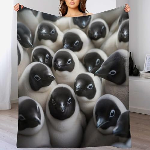PAZZK Antarctic Pinguin Fleece Decken, Extra Weiche Flauschige Kuscheldecken, Leichte, Gemütliche Flannel Sofadecke/Couchdecke Für Erwachsene, Wohndecke（140×180cm）