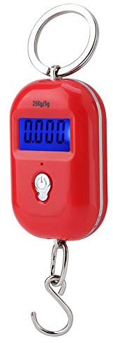 Elektronische Waage,Digitalwaage Tragbare Mini Pocket Schlüsselanhänger Waage Küche Lebensmittel Gewichtsanzeige Messwerkzeuge Haken 25 kg/5g