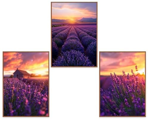 GrowArt - Stilvolle Sonnenaufgangs-Lavendelfeld-Poster im A3-Format ohne Rahmen - stimmungsvolle Wanddekoration für das Wohnzimmer und ein anspruchsvolles Geschenk für Naturliebhaber.
