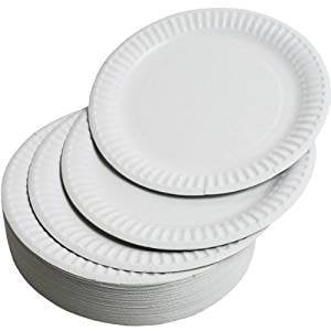 PACK OF 100, Disposable Paper Plates 15cm / 6, Disposable Party Plates USED for Hot & Cold Food Disposable Plates for Christmas Birthday Party Picnic Any Household Party Biodegradable Plates