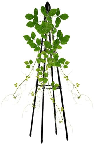 Garten Obelisk Rankhilfe Obelisken Rankhilfe Obelisken für Kletterpflanzen Rankhilfe Rostbeständig für Ranken, Gurken & Himbeeren