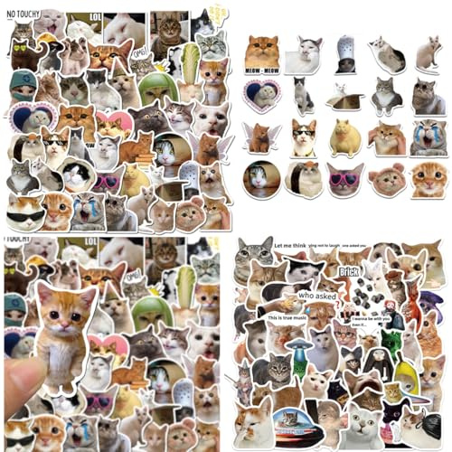 UIEXAY 100 Stück Lustige Meme Sticker Set,Meme Aufkleber Für Auto Laptop Skateboard Fahrrad Moped Motorrad Fahrrad Computer,Geeignet Für Erwachsene