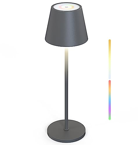 MALUX Tischlampe Kabellos, Dimmbare Touch Control Tischleuchte Kabellos mit 8 Farben, Metall RGB Led Tischlampe Akku wasserdicht IP54 für Haus und Garten Esstisch Schlafzimmer Balkon Hotel (Grau)