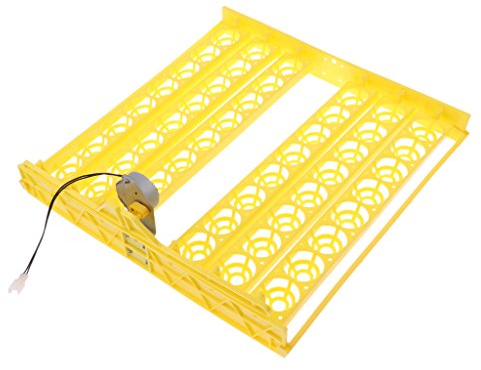 Perfeclan Automática Huevo Bandeja Eléctrica 220V Digital para 48 Huevos