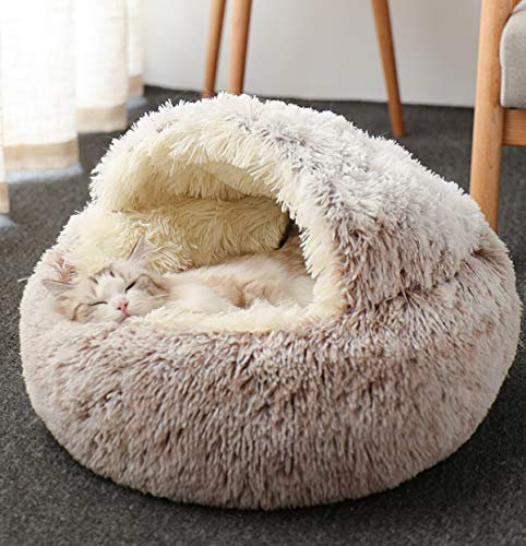 BoruisX - Cómoda cama para mascotas con pelo de felpa y funda extraíble, cómoda cama para gatos, cama de felpa para perros (marrón, 40 x 40 cm)