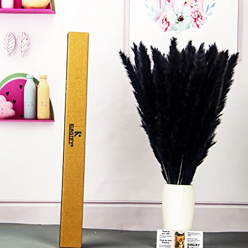 KUNSTIFY Pampasgras, Natürliches Trockenblumen Deko Set (30x schwarz Pampas)