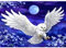 AIRDEA DIY Schneeeule Diamond Painting Set Erwachsene,Tier Diamant Painting Bilder 5D Mond Eule Diamant-Kunst Kits für Kinder Blumen Diamant Malerei Set Kreuzstich Malen Nach Zahlen Kits 30x40cm
