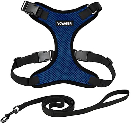 Voyager Step-in Lock Katzengeschirr und reflektierende Katzenleine mit Neoprengriff by Best Pet Supplies - Für kleine, mittelgroße und große Katzenrassen, Königsblau / Schwarz, size S - 1,5 m