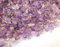 Perlin - 1000stk Amethyst Edelstein Perlen 4mm ~ 8mm Trommelstein Chip Edelsteine Halbedelstein Schmuckperlen Schmuckstein für Cabachon Deko DIY Kette G750 x4