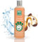 MENFORSAN Macadamiaöl-Shampoo für Hunde, pflegt und glänzt das Fell, entwirrende Wirkung, Anti-Frizz und regenerierende Eigenschaften, Zitrus, 300 ml