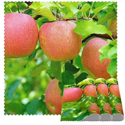 Quadratische Tischsets für Esstisch, Apfelbaum-Design
