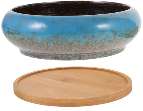 BESPORTBLE 1 Satz Terrarienglas Sukkulenten-übertopf Hydroponischer Pflanzentopf Hydroponischer Blumentopf Garten Blumentopf Seerose Schale Gartentöpfe Aus Keramik Klein Keramikbecken Bambus