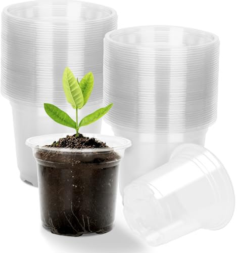 KINGLAKE 36 Pcs Clear Plastic Plant Pots Orchid Pots, 10cm Small Flower Seedling Nursery Pots for Potting Orchids Seed Cutting Succulents Herbs Indoor Outdoor Plants