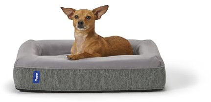 Casper Hundebett, Plüsch-Memory-Schaum, groß, Grau