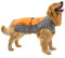 Ranphy Hunderegenmantel Wasserdicht für Mittlere und Große Hunde Reflektierend Regenhülle Atmungsaktive mit Bauchschutz Dackel Labrador Hundejacke Ultraleichte Sicheren Hundebekleidung Orange 9XL