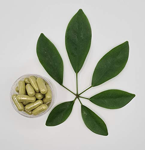 MORINGA 200 gélules dosées a 500mg enveloppe 100% végétale - complément alimentaire