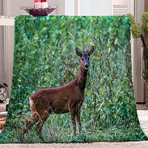 SJSXWQN Decke GrüNes REH Kuscheldecke Flauschig für Bett und Sofa Extra Weich Warme Mikrofaser Wohndecke Fleecedecke als Sofadecke Couchdecke Kuscheldecke - 180x200 cm