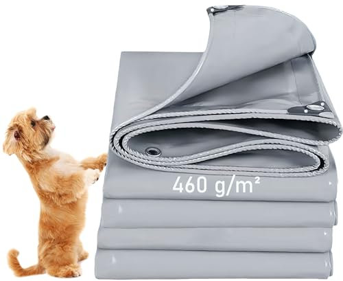 LDQBF Lona Exterior,2x22m 460g/m² PVC toldo Funda Lonas Impermeables Exterior de Alta Durabilidad,Lona Impermeable Reforzada,Lona Cubretodo Suelo de Rafia,Protector de Lluvia y Sol Gris