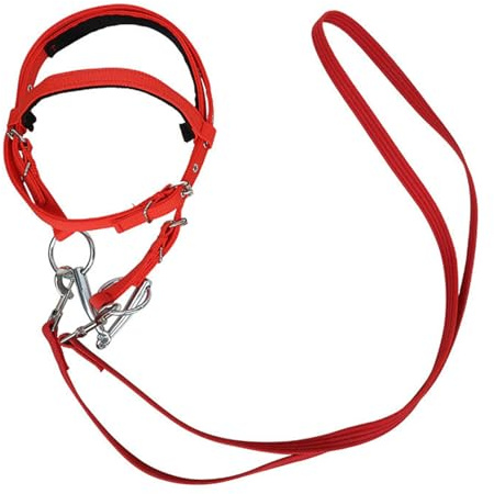 Corda Regolabile – Nylon Horse Bridle Rins, Western Safety Tack | Ranch Training Road Attrezzatura da Equitazione, Durevole