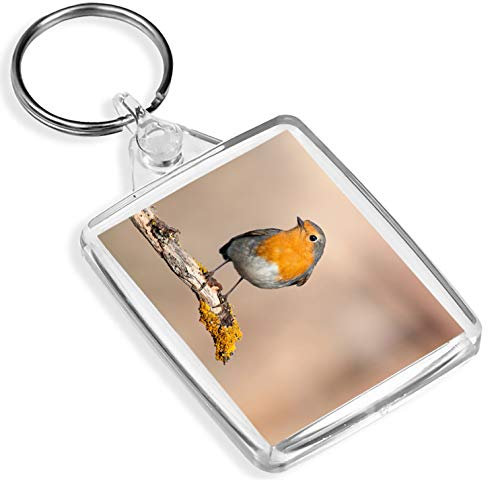 Porte-clés rouge-gorge rouge – IP02 – Animaux du jardin – Excellent cadeau amusant # 2062