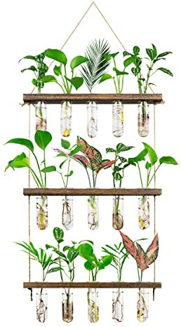 Monsiter QE 3 Tier Large Propagation Stations Wall Hanging Plant Terrarium with Wooden Stand, Retro Propagation Test Tube for Hydroponic Plants Cutting Flower, Propagator Home Office Patio Decor Gifts