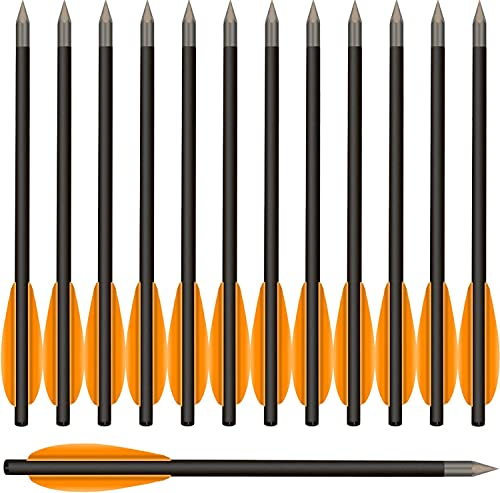 WANVZMR 6,3 Carbon Pistole Armbrust Bolzen Pfeile,Mini Armbrustpfeile Armbrustbolzen mit Stahlspitzen Jagdpfeile für 50-80 lbs Pistolenarmbrust Präzisionsziel,Schießübungen kleine Jagd(12stk orange)