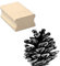 Stempel ZAPFEN - Motivstempel - ca. 40 x 40 mm