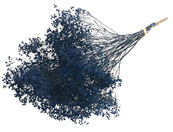FloristryWarehouse Dyed Bunch of Dried Broom Bloom 40cm/15 Inches Dark Blue