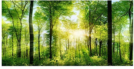 Aquarium Wald Grüner Hintergrund Reptil HD Tapete 3D-Effekt Aufkleber Hintergrund Wanddekoration für Aquarium (122 * 50cm)