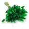 Enchanted Dekogras Getrocknetes Gras Ziergras Hasenschwänze Lagurus Ovatus Samtgras Häschen-Schwanzgras Trockenblumen Natürlich Boho 120 - 150 Stück 100 g Grün