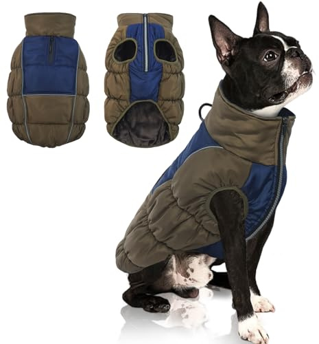 IECOii Winterjacken & Wintermäntel Für Hunde,Hunde Wintermantel,Hundemantel Winter Warm, Hundejacke Winterweste Jacken Hundemantel Hundepullover,Hundejacken Winter Winddicht Wasserdicht,Grün,M
