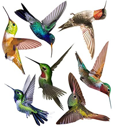 ETHZZLE 7stücke Teiliges Selbstklebende Wandtattoos Dekorative Glastapeten Für Fenster Türen Und Wände Schutz Gegen Vogelschlag Für Wohnzimmer Und Schlafzimmer