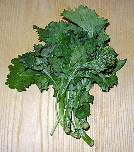FRIARIELLO NAPOLETANO-SEMI-