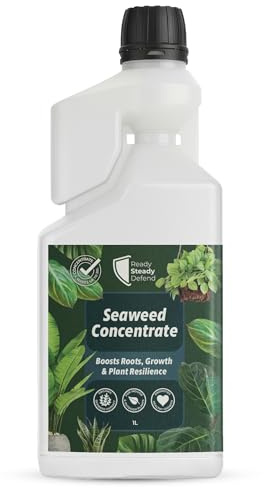 Seaweed Concentrate 1L | Organic Ascophyllum Nodosum Liquid Seaweed Extract | Natural Plant Growth Stimulant & Fertiliser | Boosts Roots, Foliage & Flowering | Makes Up to 100L Feed | Made in UK
