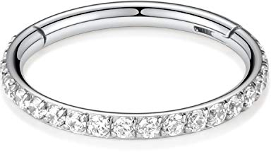 hengkaixuan Conch Piercing Schmuck 16G Titan Knorpel Ohrringe Doppelt gestapelter Conch Ring Silber Nahtlose Higned Segment Ring Septum Daith Rook Helix Creolen Nase Creolen 10mm