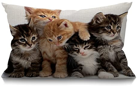 Smooffly Dekorativer Kissenbezug mit niedlichem Katzenmotiv, rechteckig, 30,5 x 50,8 cm