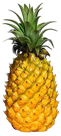 Tubayia Lebensechte Künstliche Ananas Kunstobst Dekoobst Frucht Obst Küchenschrank Fenster Tisch Display (Gelb 27x12cm)