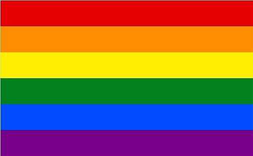 Premium Fahnen Flagge - 90 x 150 cm / 150 cm 90 cm - aus Polyester mit goldenen Ösen - Langlebig und Wetterfest (Regenbogen LGBT)