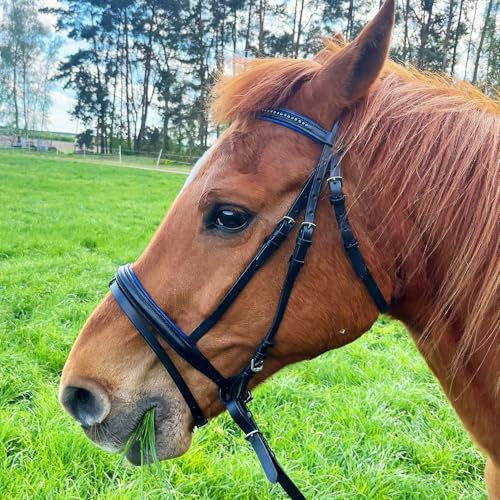 Brama West Ledertrense Pferd Sparkle - englisch kombiniert - Reithalfter mit Antislip Zügel und Strasssteinen - Royal, Gr. Pony