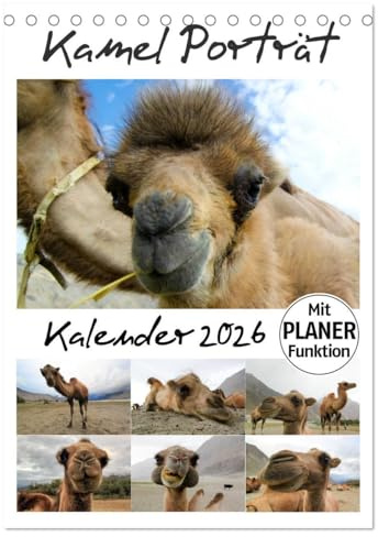 Kamel Porträt (Tischkalender 2026 DIN A5 hoch), CALVENDO Monatskalender: Der etwas andere Tierkalender jetzt als Familienplaner (CALVENDO Tiere)