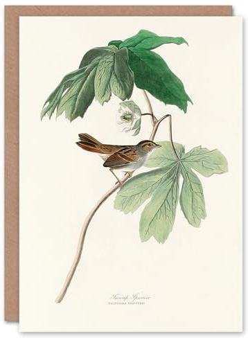 Artery8 John James Audubon Art Card Swamp Sparrow and Mayapple Plant