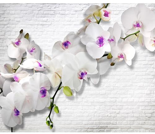 decomonkey - Papier Peint Panoramique Fleurs Orchidée 350x256 cm - Décoration murale moderne – Tapisserie décorative pour chambre salon - Pierre fleurs nature orchidées plantes