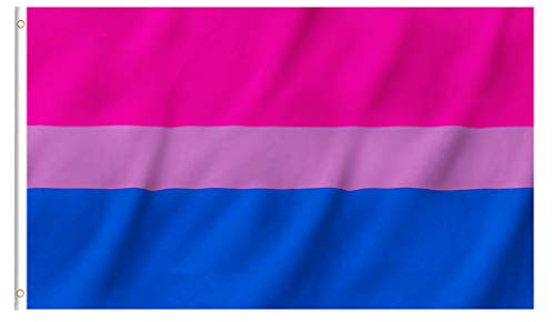 EKEV Bisexuelle Flagge, 90 x 150 cm, LGBT Bi Gay Flaggen mit Messingösen und Segeltuchkopf und doppelt genähten und lebendigen hellen Farben
