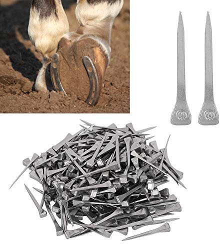 Clous en fer à cheval en acier E4 250 pièces, clous de fabrication de vitraux et clous à tête carrée de course de chevaux pour sécuriser le plomb ou le verre