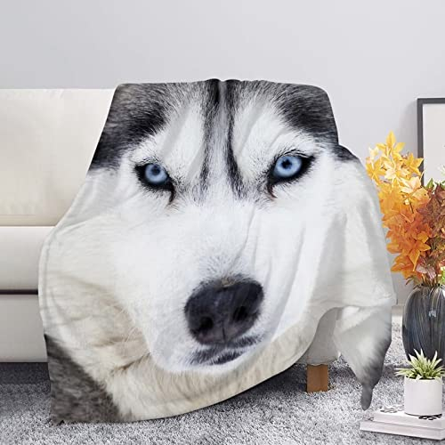 Belidome Husky Überwurfdecke für Sofa, Schlafzimmer, Wohnzimmer, Couch, Kinder, Winter, warme Decken